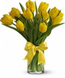 Yellow Tulips from your Sebring, Florida florist