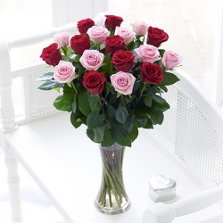 Eighteen Pink and Red Roses Arranged from your Sebring, Florida florist