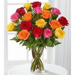 Mixed Roses Arranged from your Sebring, Florida florist