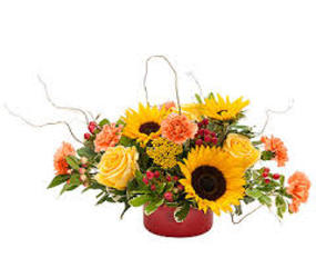 Bountiful from your Sebring, Florida florist