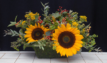 The Orange Blossom Special from your Sebring, Florida florist