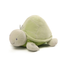 SleepySeas Turtle Sound&Lights from your Sebring, Florida florist