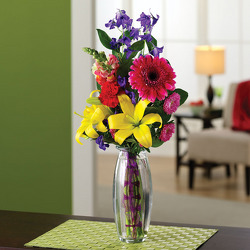Cheery & Bright from your Sebring, Florida florist