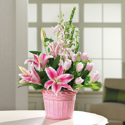 Her Garden of Glory from your Sebring, Florida florist