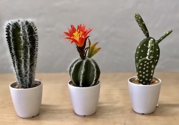 Faux Cacti Set of Three from your Sebring, Florida florist