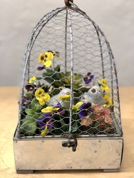 Faux Bird Dome Arrangement from your Sebring, Florida florist