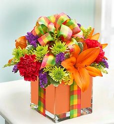 All Wrapped Up from your Sebring, Florida florist