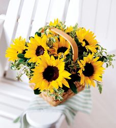 Basket of Sunshine from your Sebring, Florida florist