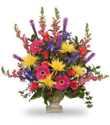 Uplifting Condolences from your Sebring, Florida florist