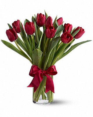 Tulips