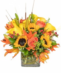 Fall Cube from your Sebring, Florida florist