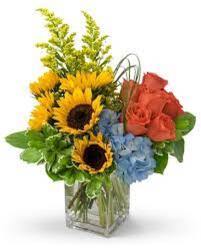 Cube of Vibrant Colors from your Sebring, Florida florist