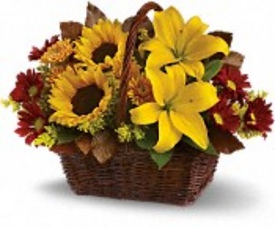 Golden Days Basket from your Sebring, Florida florist