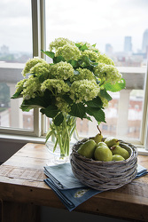 Green Miniature Hydrangeas in Glass from your Sebring, Florida florist