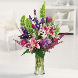 Stargazer Garden from your Sebring, Florida florist