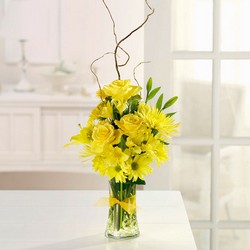 Sunshine Sparkle from your Sebring, Florida florist