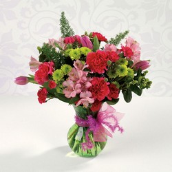 Nature's Glory from your Sebring, Florida florist