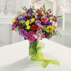 Simply Sensational from your Sebring, Florida florist