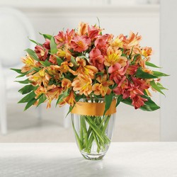 Awesome Alstroemeria from your Sebring, Florida florist