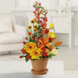 Terra Cotta Treasures from your Sebring, Florida florist