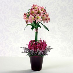 Timeless Topiary from your Sebring, Florida florist