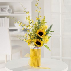 Write On! from your Sebring, Florida florist