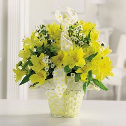 Mellow Yellow Basket from your Sebring, Florida florist