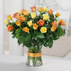 Abundant Roses from your Sebring, Florida florist