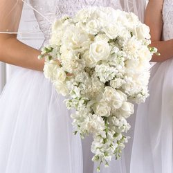 Bridal Teardrop Bouquet from your Sebring, Florida florist
