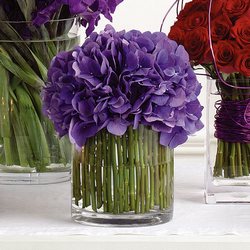 Jumbo Hydrangeas Arranged from your Sebring, Florida florist