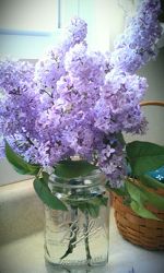 Simply Lilacs from your Sebring, Florida florist