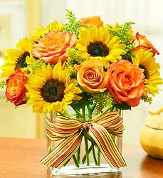 Modern Enchantment from your Sebring, Florida florist
