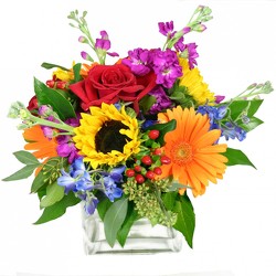 Perfectly Bright from your Sebring, Florida florist