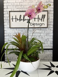 Orchid Bromeliad Green Plant Mix from your Sebring, Florida florist