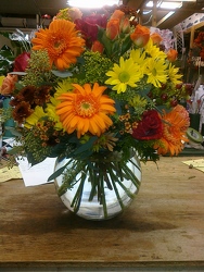 Fun & Festive from your Sebring, Florida florist