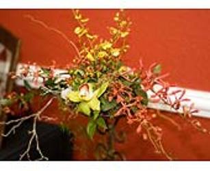 Tropico from your Sebring, Florida florist
