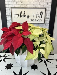 Poinsettia Combo from your Sebring, Florida florist