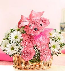 Princess Paws from your Sebring, Florida florist