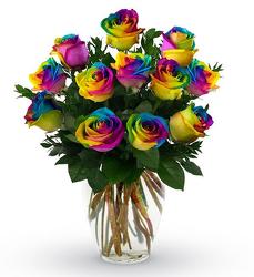 A Dozen Rainbow Roses Arranged from your Sebring, Florida florist