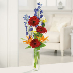 Gerbera Greetings from your Sebring, Florida florist