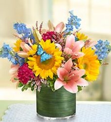 Simple Sophistication from your Sebring, Florida florist