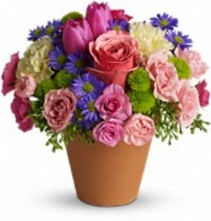 Spring Sonata from your Sebring, Florida florist