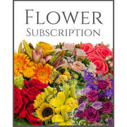 Montlhy Subscription from your Sebring, Florida florist