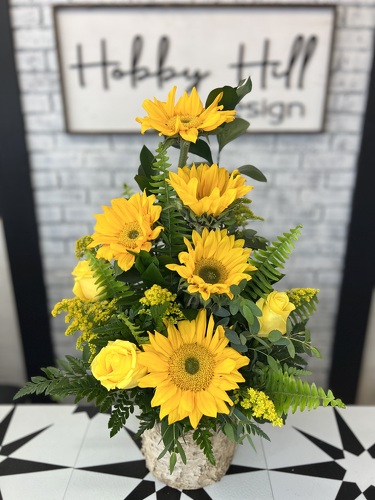 Sunflower Funflowers