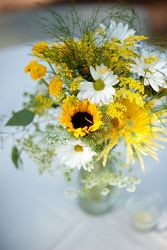 The Country from your Sebring, Florida florist