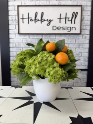 The Grove from your Sebring, Florida florist