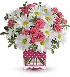 Polka Dots & Posies from your Sebring, Florida florist