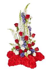 Starburst from your Sebring, Florida florist