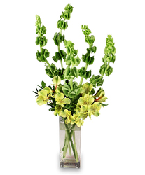 Very Verde from your Sebring, Florida florist